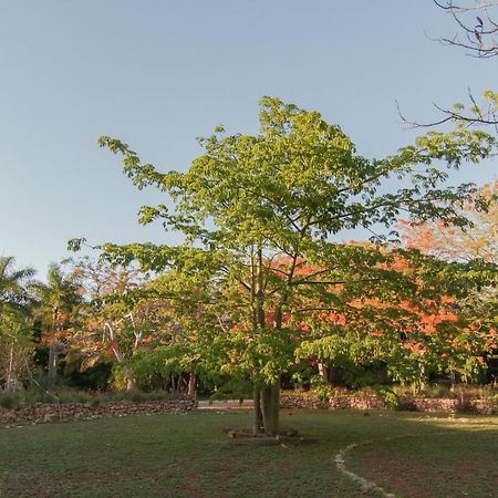 Hacienda Shambalante Bed & Breakfast Izamal Bagian luar foto