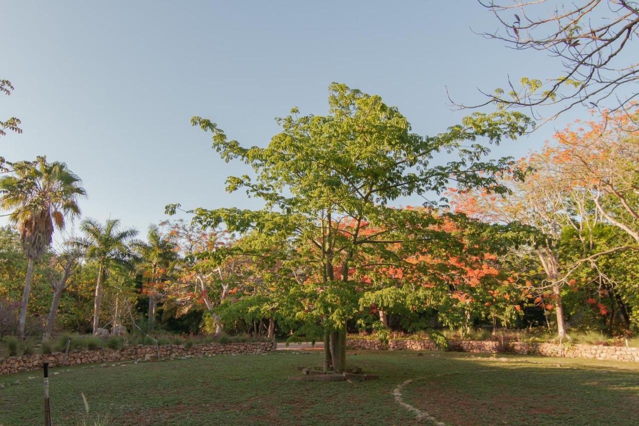Hacienda Shambalante Bed & Breakfast Izamal Bagian luar foto