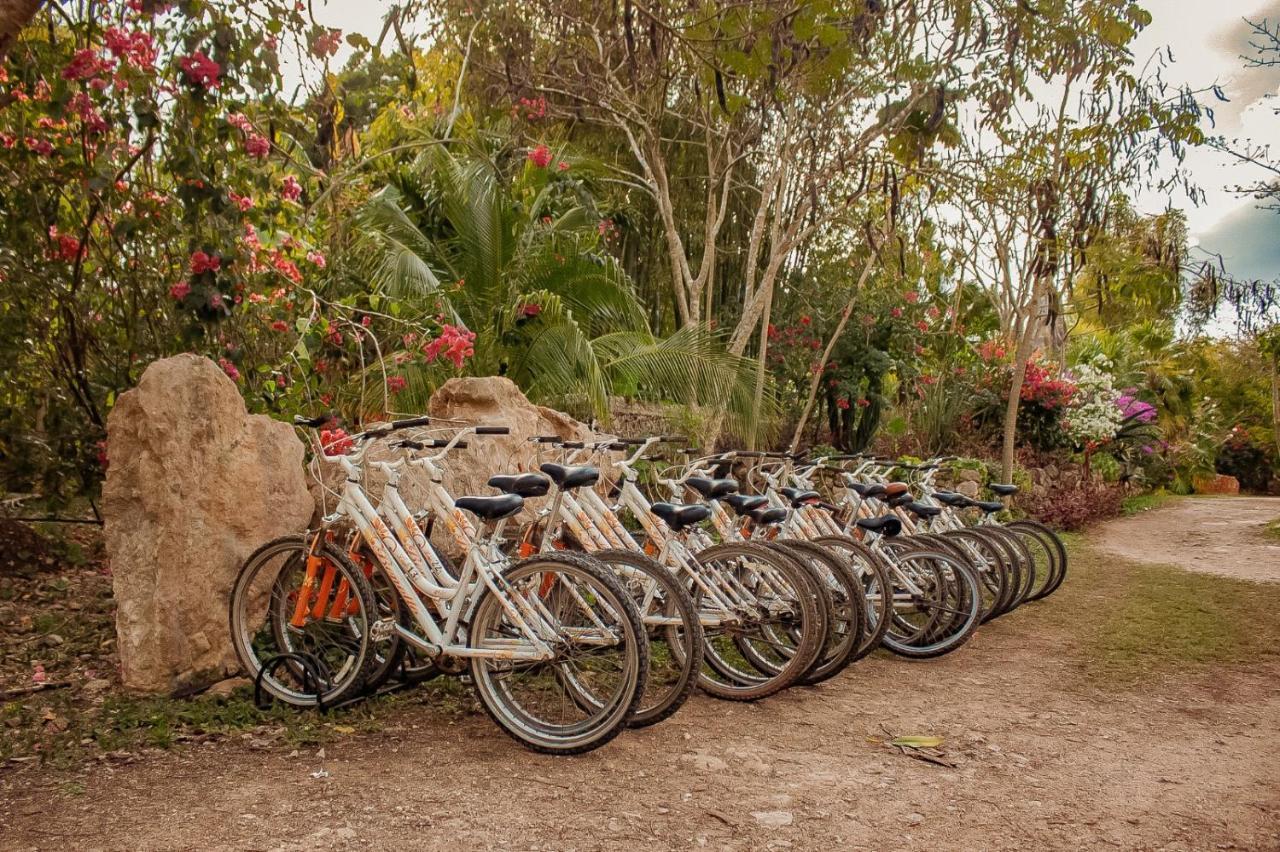 Hacienda Shambalante Bed & Breakfast Izamal Bagian luar foto