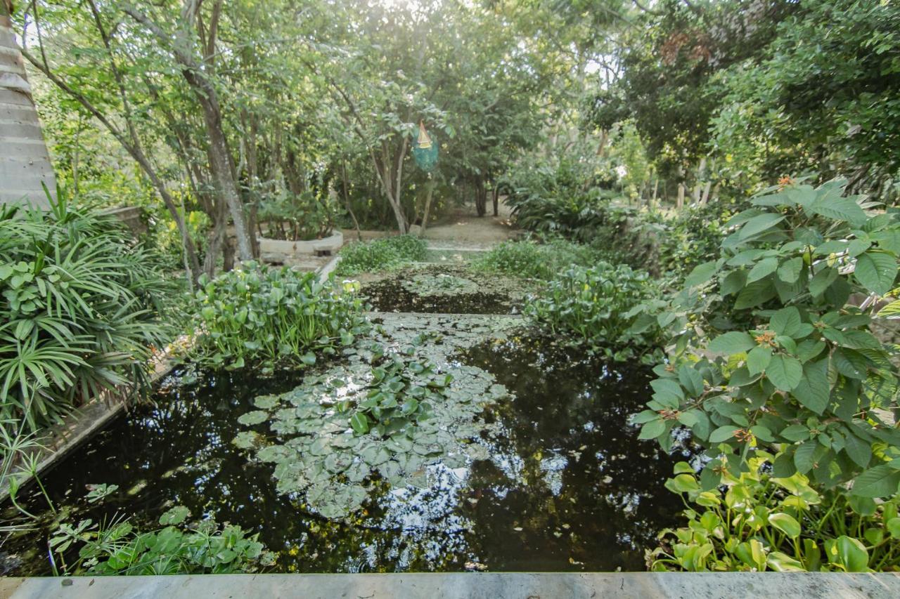 Hacienda Shambalante Bed & Breakfast Izamal Bagian luar foto